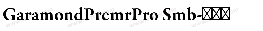 GaramondPremrPro Smb字体转换